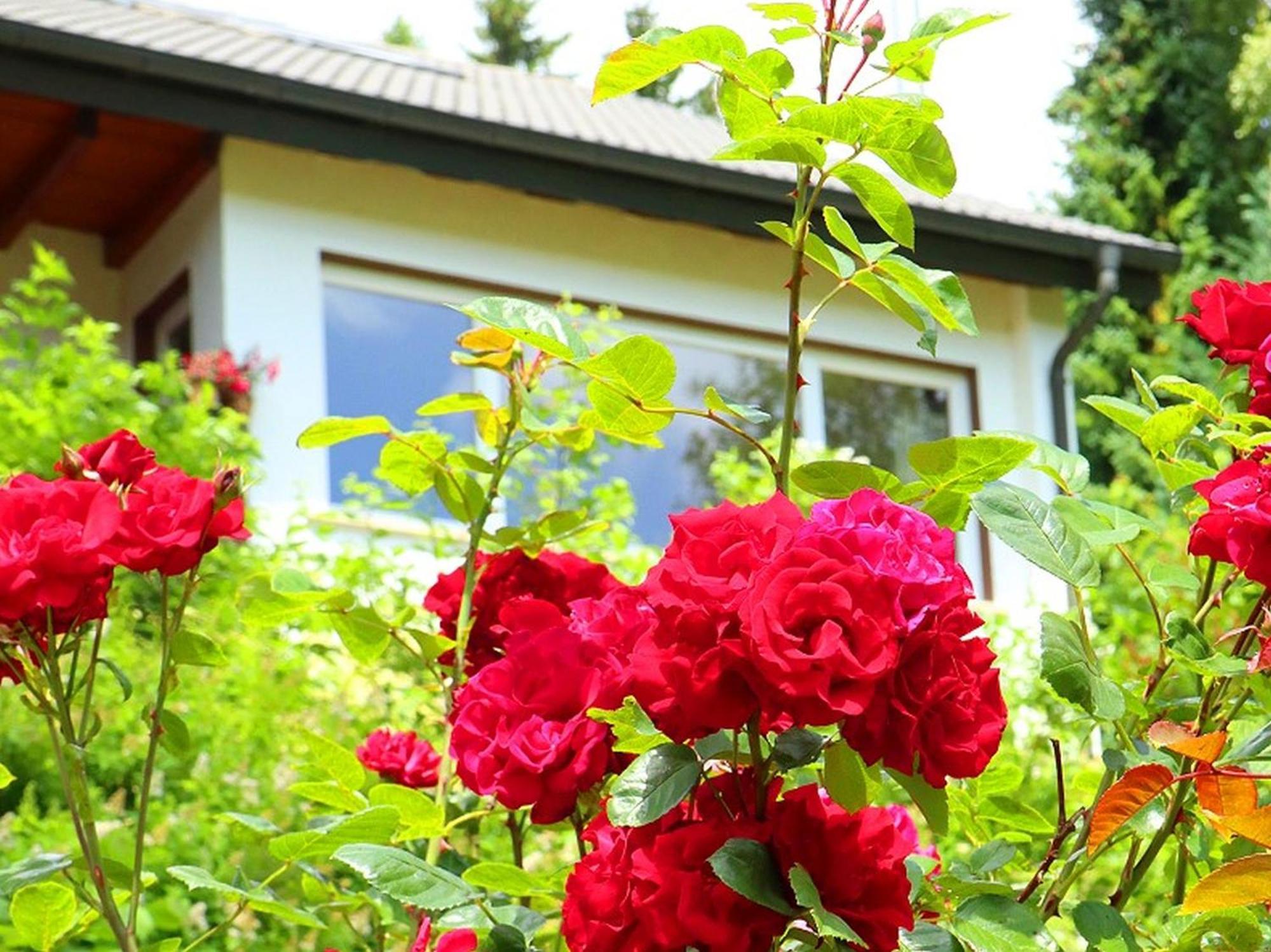 Ferienwohnung Jachmann, 80Qm Schönwalde Εξωτερικό φωτογραφία